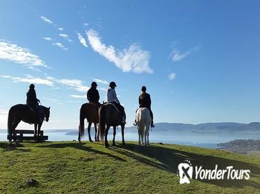 Guided Horse Trekking from Rotorua Guided Horse Trekking from Rotorua