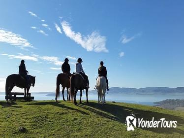 Guided Horse Trekking from Rotorua