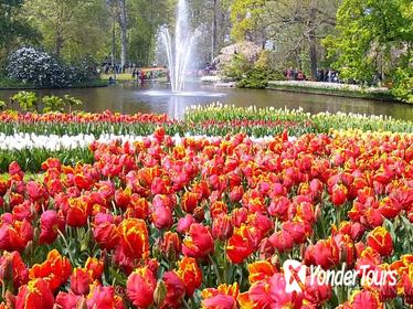 Guided Keukenhof and Diamonds Tour