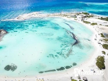 Guided Mangel Halto and Baby Beach Snorkeling Tour from Aruba