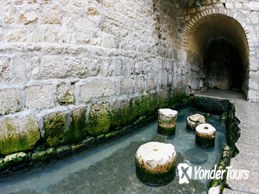 Guided Tour of Jerusalem: The Biblical City of David