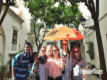 Guided Tour of Santa Cruz Jewish Quarter, Alcázar, and Cathedral