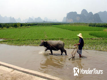 Guilin Private Tour: 2-Day Li River Cruise and Longji Terrace Fields