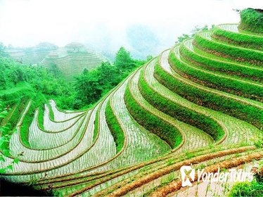 Guilin Private Tour: Longji Rice Terraces Day Tour in Longsheng