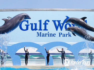 Gulf World Marine Park General Admission