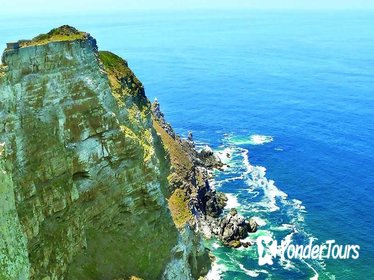 Half Day Cape Point Tour from Cape Town