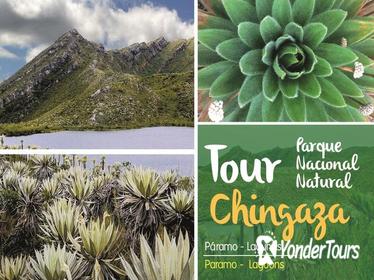 Half Day Hiking Eco-Tour: Chingaza Paramo + Transport & Lunch Half Day Hiking Eco-Tour: Chingaza Paramo + Transport & Lunch