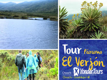 Half Day Hiking Eco-Tour: Verjon Paramo -30 min from Bogota-