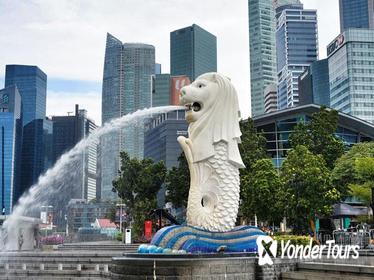 Half Day or Full Day Private Custom Tour of Singapore