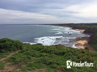 Half Day Phillip Island Woolamai Trail Walking Tour