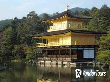 Half Day Tour of Nijo Castle and Golden Pavilion in Kyoto