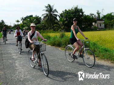 Half -Day Tra Que Herbal Village Tour from Hoi An