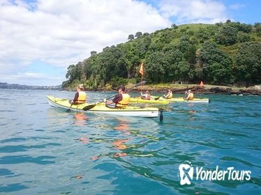 Half-Day Auckland North Head Guided Kayaking Tour