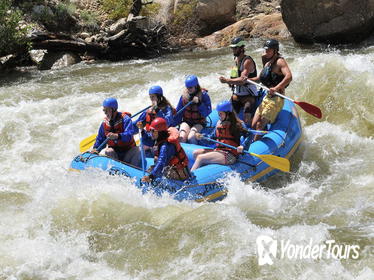 Half-Day Browns Canyon Rafting Experience