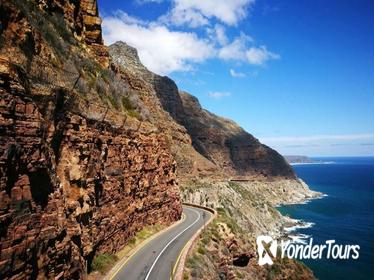 Half-Day Cape Peninsula Tour from Cape Town