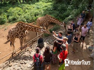 Half-Day David Sheldrick Elephant Orphanage, Giraffe Center, and Karen Blixen Museum Tour from Nairobi