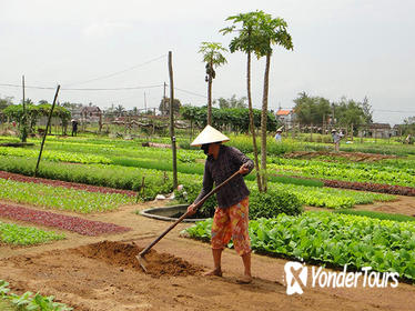 Half-Day Farming Experience from Hoi An