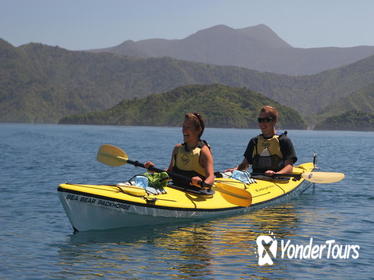 Half-Day Guided Sea Kayaking Tour from Anakiwa