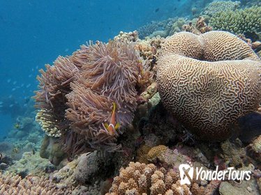 Half-Day Haitang Bay Snorkeling Trip From Sanya