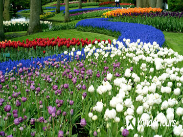 Half-Day Keukenhof Gardens Tour from Amsterdam