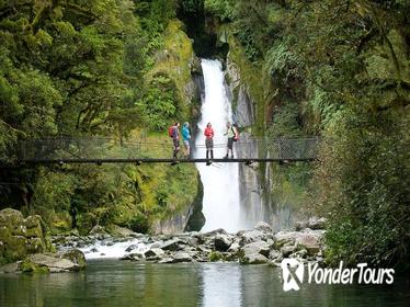 Half-Day Milford Track Guided Hiking Tour