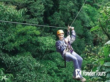 Half-Day Monteverde Zipline, Rainforest Canopy and Hanging Bridges Tour