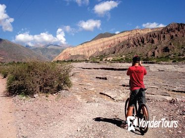 Half-Day Mountain Bike Tour to Juella from Tilcara