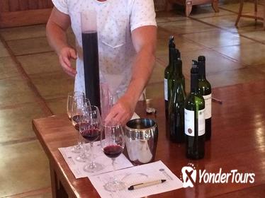 Half-Day Private Be a Winemaker for a Day Experience from Santiago