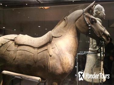 Half-Day Private Tour of Xi'an Terracotta Warriors and Horses Museum