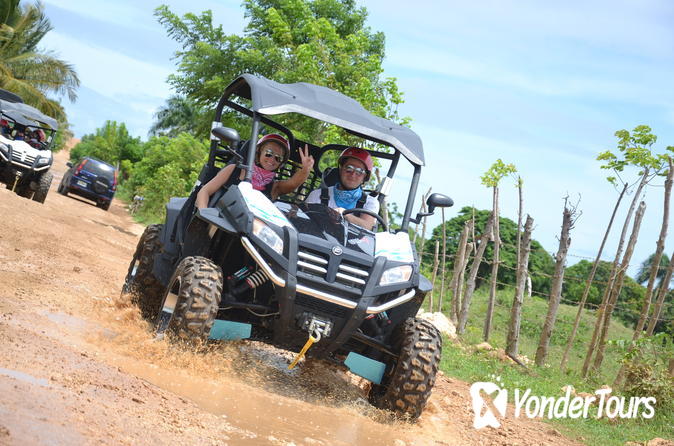 atv and buggy