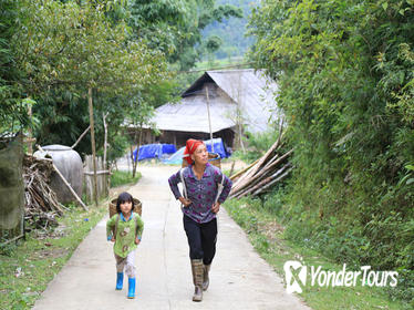 Half-Day Tour of Hoang Lien National Park and Sin Chai Village from Sapa