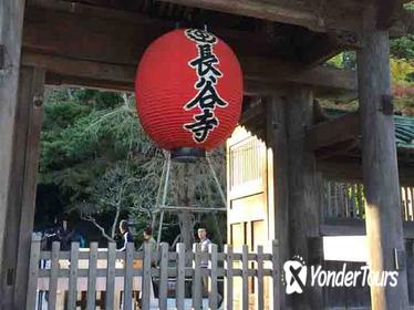 Half-Day Tour of Kamakura from Tokyo