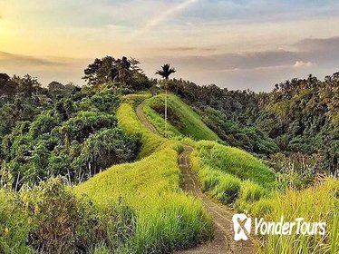 Half-Day Ubud Morning Tour: Royal Palace, Campuhan Rice Terraces, Ubud Market