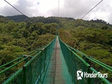 Hanging Bridges 2-hour Tour from Monteverde