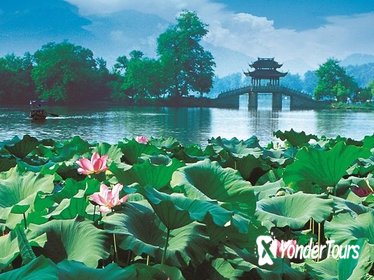 Hangzhou City Tour: West Lake Cruise and Lingyin Temple With Lunch