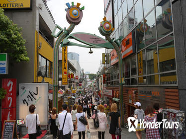 Harajuku Walking Tour of Local Fashion and Street Food