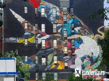 Harlem Street Art Mural Private Tour