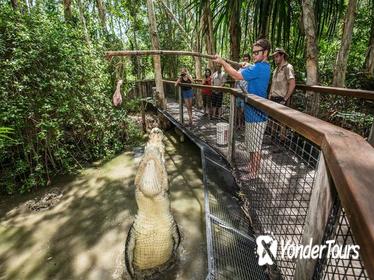 Hartley's Big Crocodile Feeding Experience from Cairns or Palm Cove