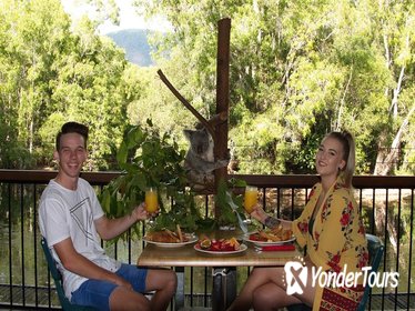 Hartley's Crocodile Adventures Entry Ticket and Breakfast with the Koalas