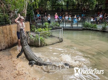 Hartley's Crocodile Adventures General Entry Ticket