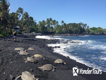 Hawaii Big Island Circle Small Group Tour: Waterfalls - Hilo - Volcano - Black Sand Beach