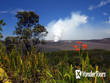 Hawaii Island Experience