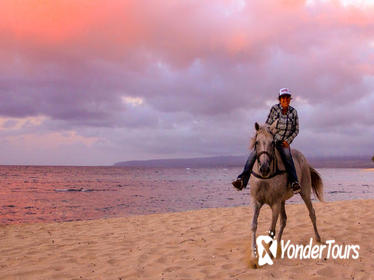 Hawaii Polo Oceanfront Horseback Rides