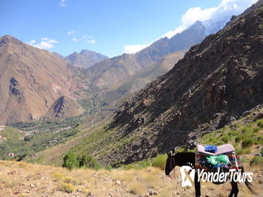 High Atlas Mountain Private Guided Day Tour from Marrakech