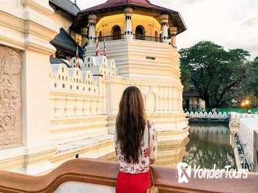 Highlights Of Kandy Day Tour From Colombo Highlights Of Kandy Day Tour From Colombo