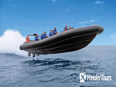 High-Speed Offshore Thrill Ride to Bondi Beach