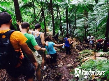 Hiking Mount Liamuiga Volcano in St Kitts