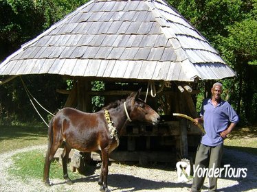 Historical 18th Century Estate Tour with Coconut Tasting