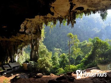 Historical Niah National Park Day Trip from Miri