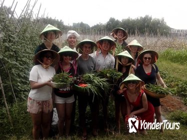 Ho Chi Minh City Full-Day Cooking Class with City Tour